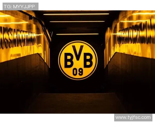 多特蒙德与不莱梅精彩对决直播全程回顾与分析